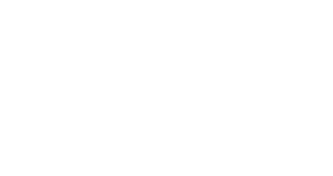 Lipor Logo